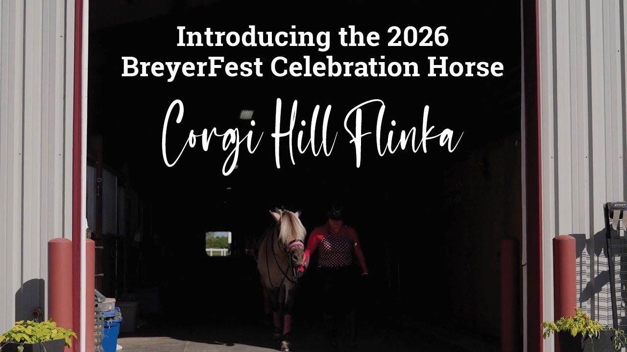 Corgi Hill Flinka, the BreyerFest 2026 Celebration Horse | Breyer Model Horses