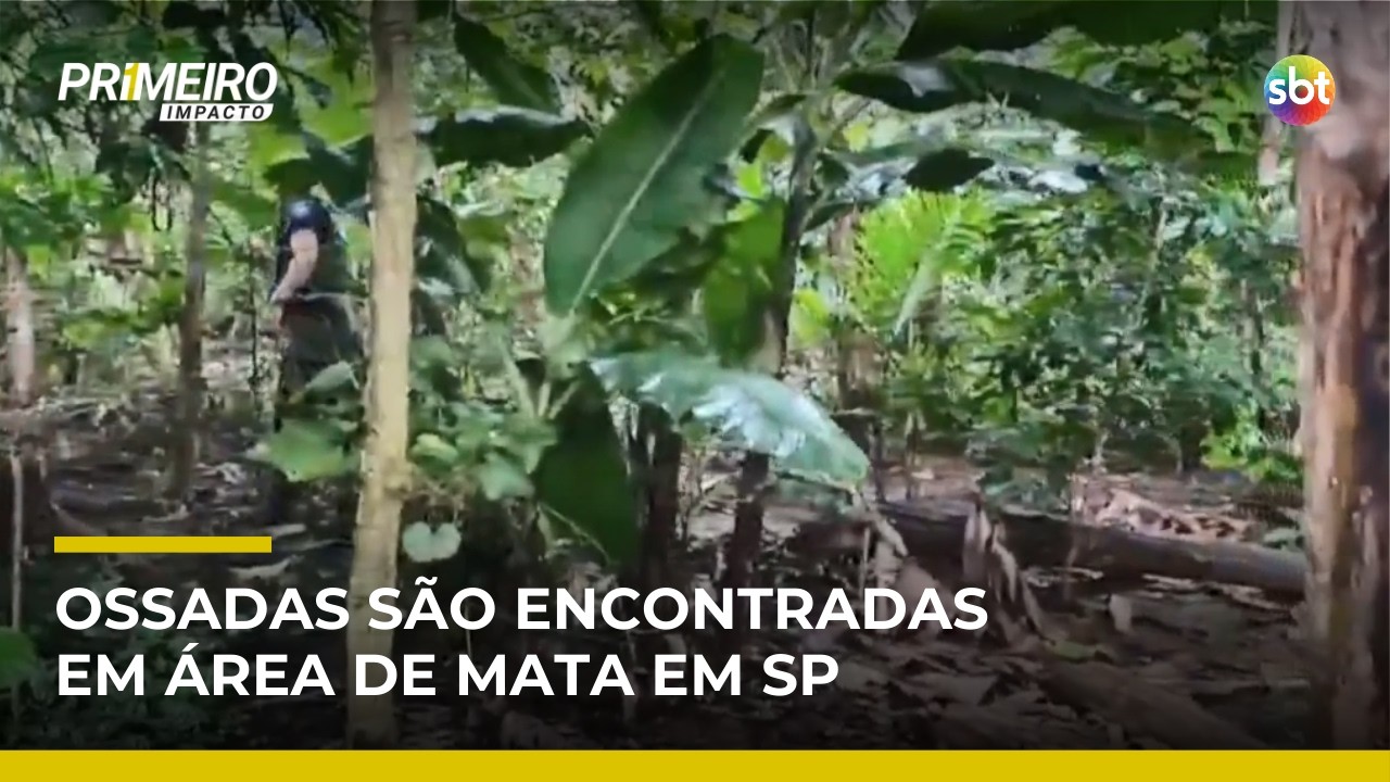 SP: Polícia investiga cemitério clandestino após corpo ser encontrado | #PrimeiroImpacto