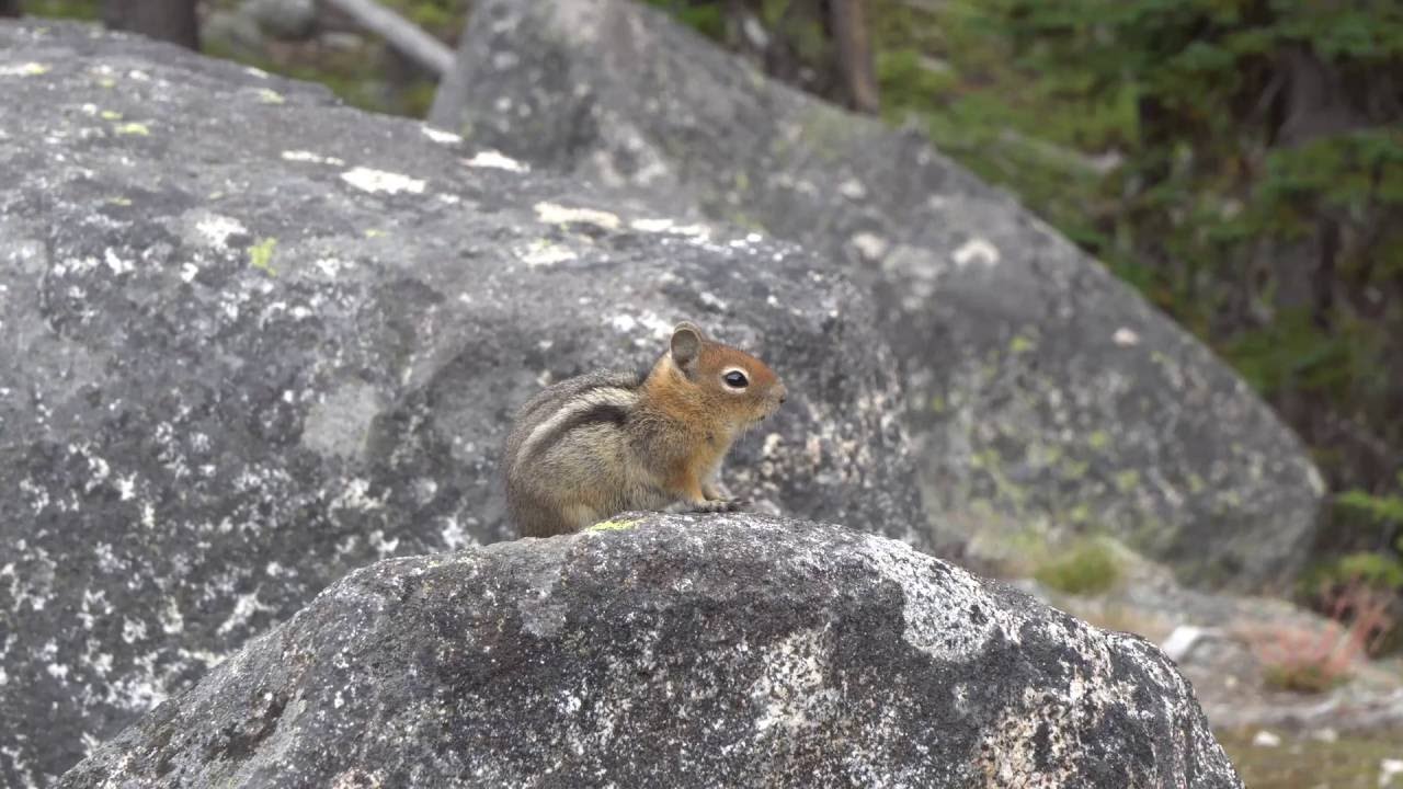 Colchuck Lake  September 5, 2016 4K