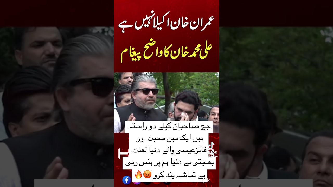 Ali Muhammad khan on fire 🔥 | spreame courts k jauged k Lia massage | PTI worker | PTI jalsa