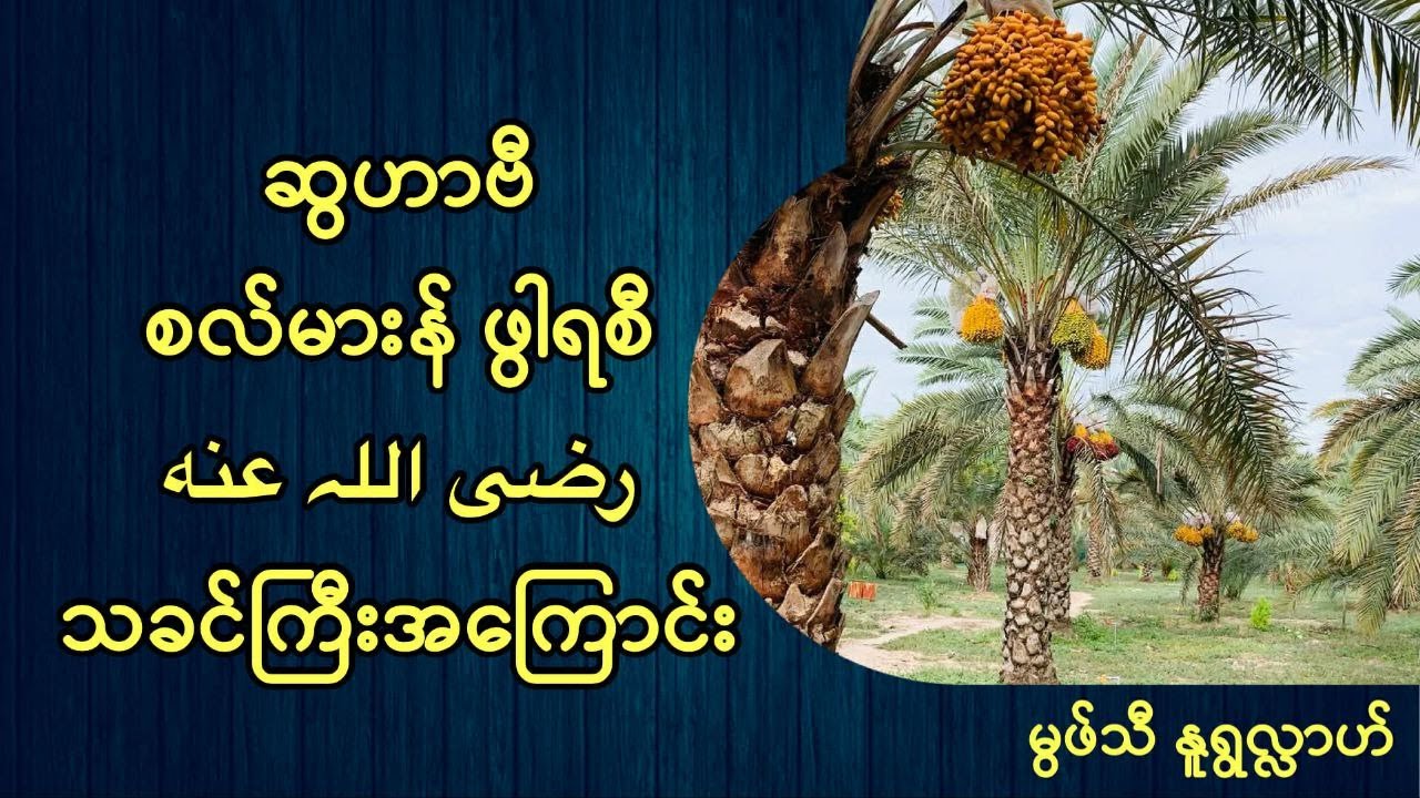 ဆွဟာဗီ#စလ်မားန်ဖွါရစီ رضی الله عنهသခင်ကြီးအကြောင်း #မွဖ်သီမုဟမ္မဒ်နူရွလ္လာဟ်  B.E ( Civil ) မ