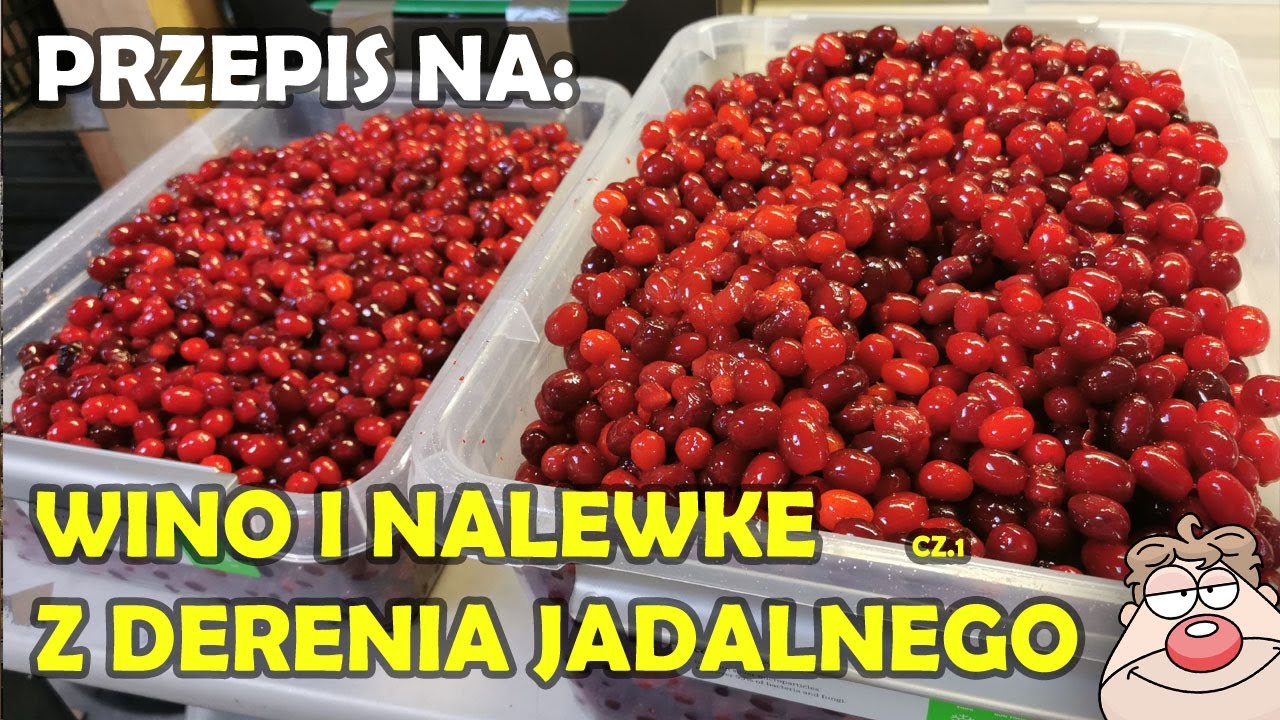 Wino i nalewka z derenia jadalnego - Przepis część 1