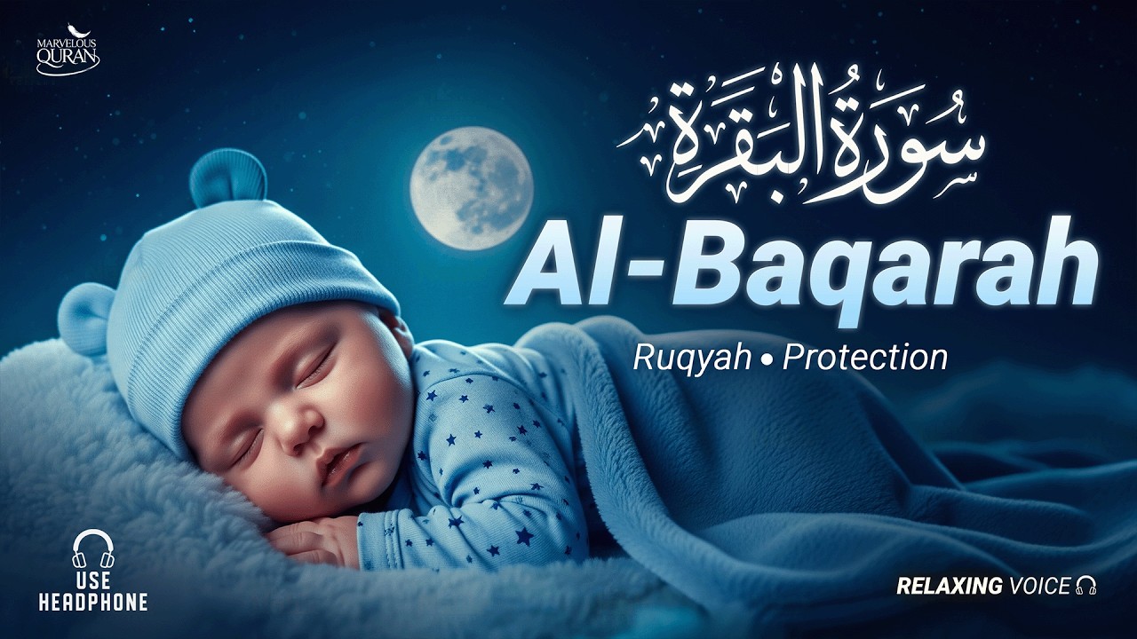 Surah Al-Baqarah (سورة البقرة) | Lofi Quran Peaceful Heart Recitation - By Alaq Aqel
