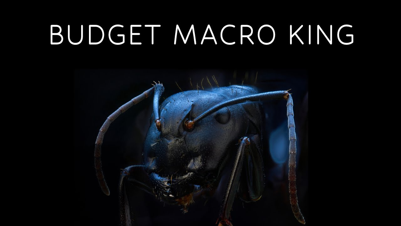 Breaking the Price Barrier: The Cheapest 5x Macro Lens Ever Made
