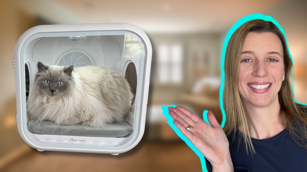 This Heated Bed Doubles as a Pet Dryer (Game Changer) | homerunPET Drybo