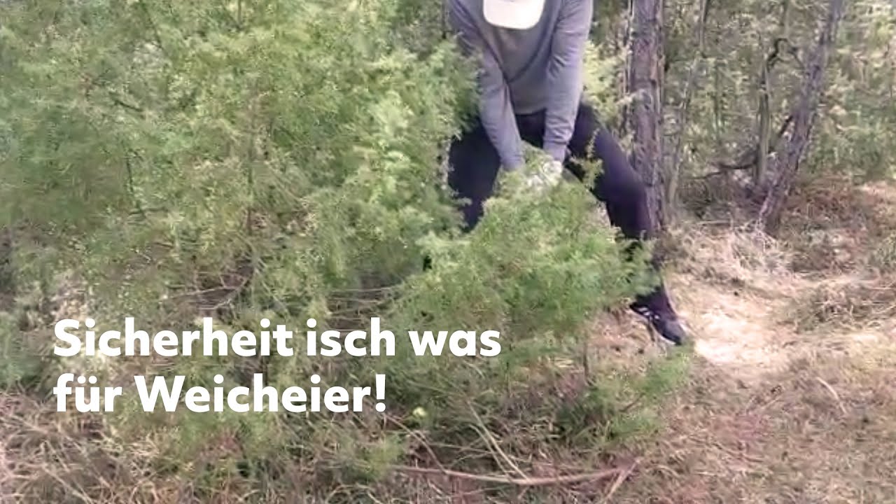 Golfrunde Highlights - Zeckensuche am Golfpark Mieminger Plateau - Golf Fails 16.04.2022