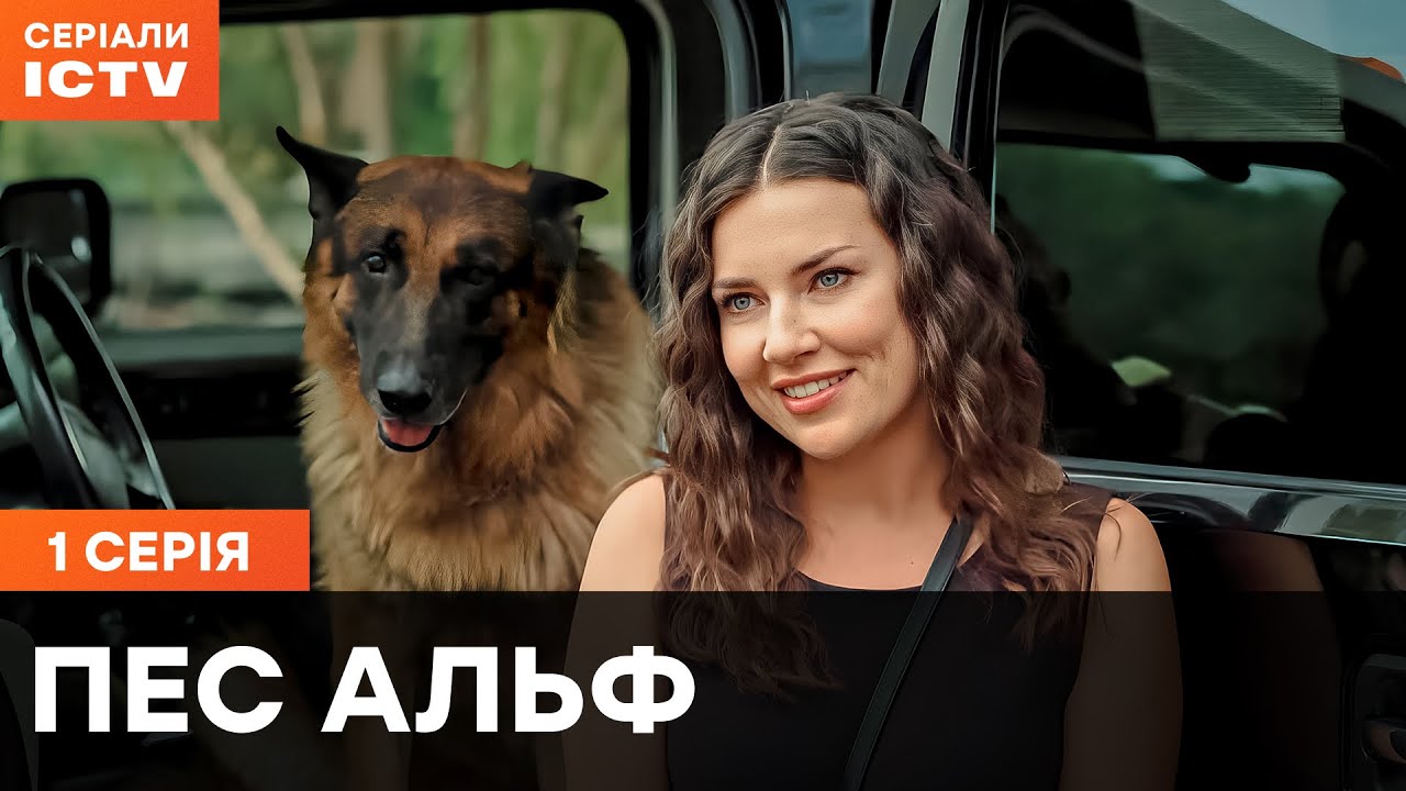 Пес Альф 1 сезон 1 серия | ДЕТЕКТИВЫ | СЕРИАЛ ICTV| КОМЕДИИ | ПРЕМЬЕРА