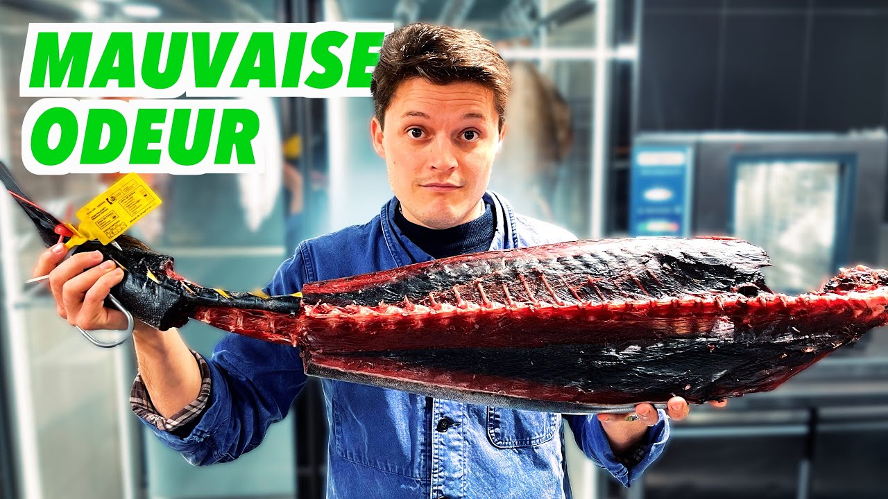 Pourquoi le poisson ça pue ?