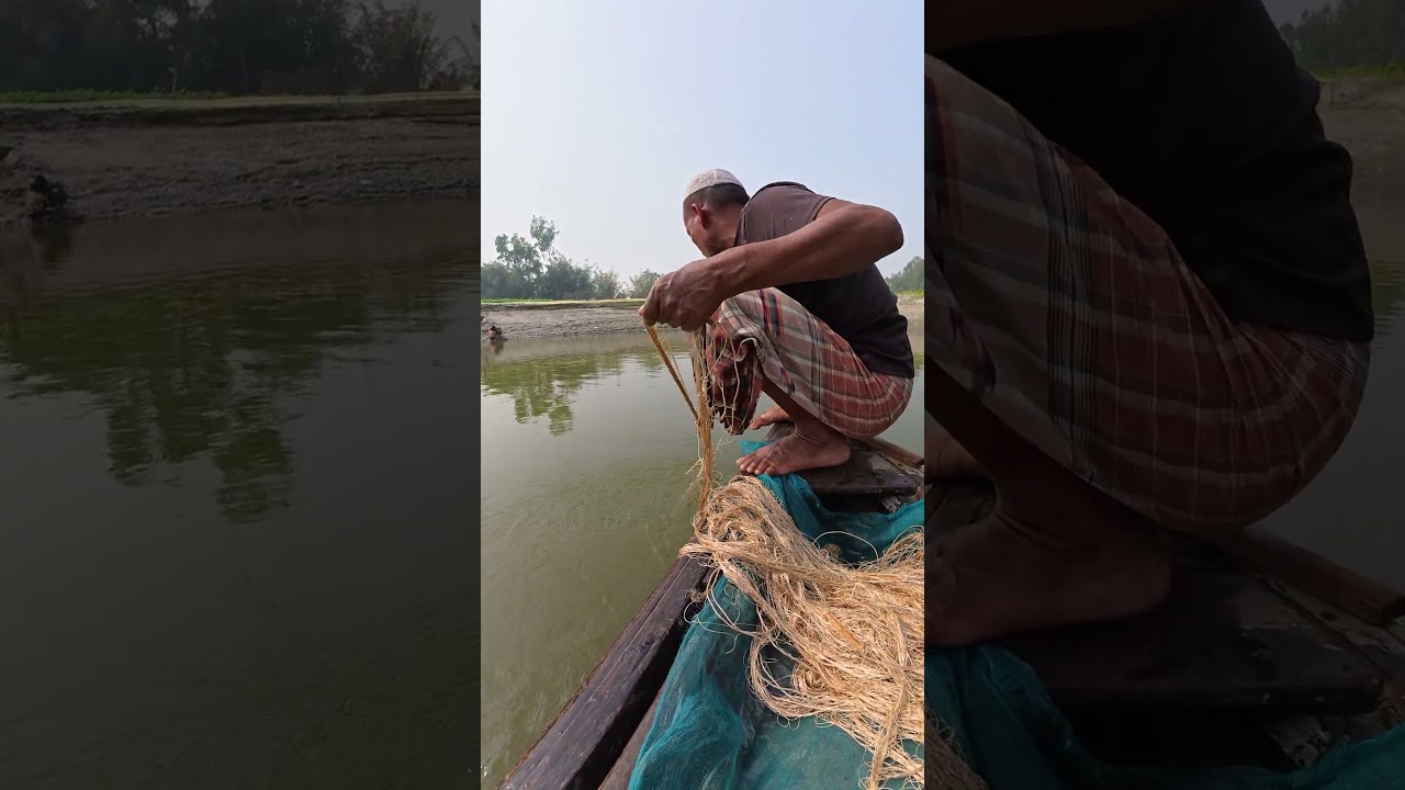Traditional Net Fishing: Catching Massive Catfish in Village! #fishing #fish