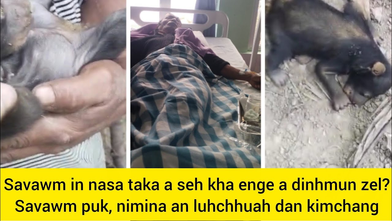 Mihring sehtu Savawm puk an luhchhuak.. Savawm note an chhanchhuak hlauh! Reports