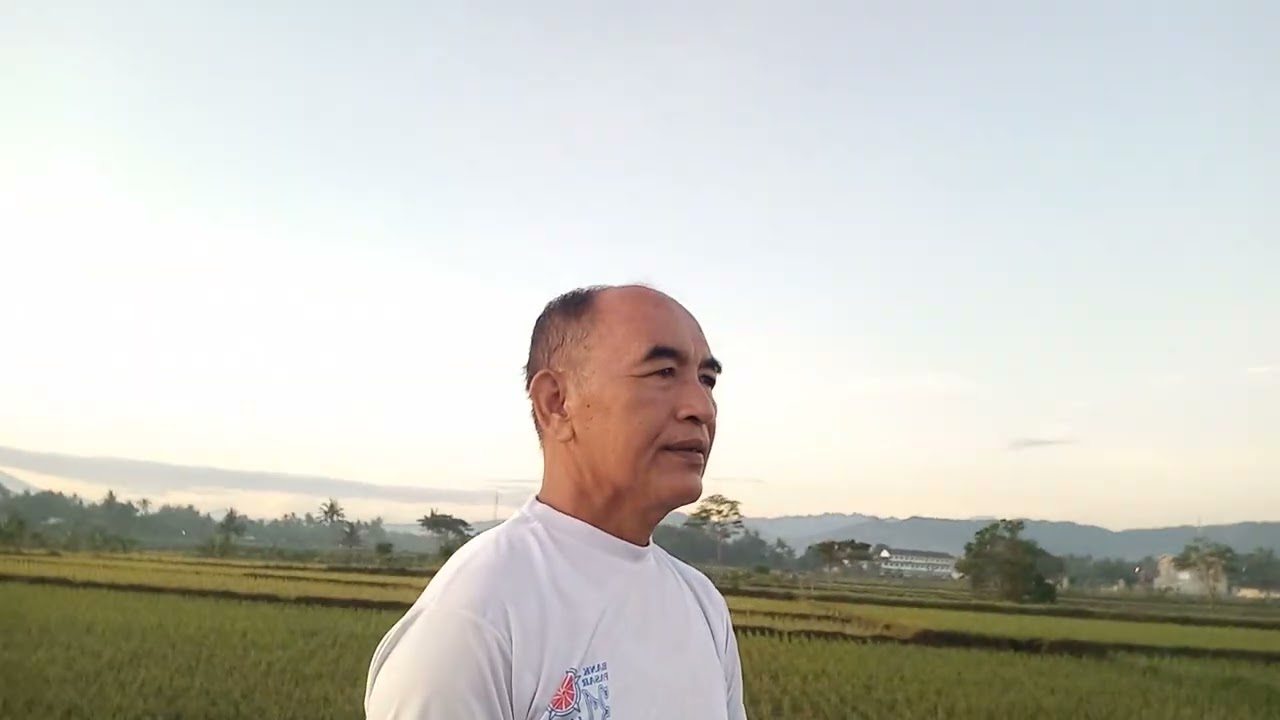 Nikmatnya Udara segar....persawahan Nanggulan Kulon Progo pagi hari... badan jadi sehat...