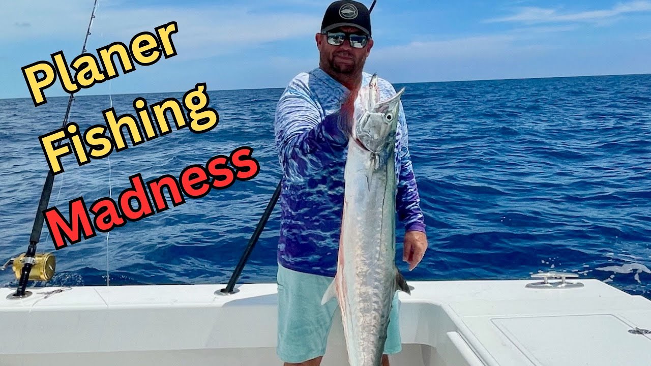 Planer Fishing Madness!  Trolling Planers With Huge Results! Kingfish Catch & Cook.