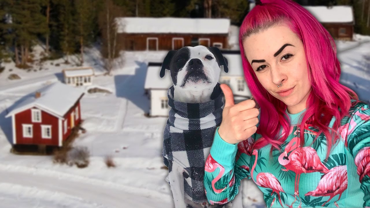 BESIKTNING AV UNDERLIVET || Vlogg