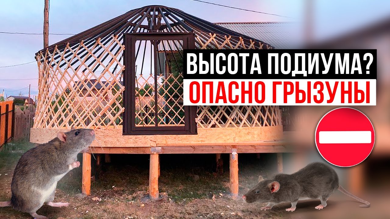 ВЫСОТА ПОДИУМА И ГРЫЗУНЫ В ЮРТЕ