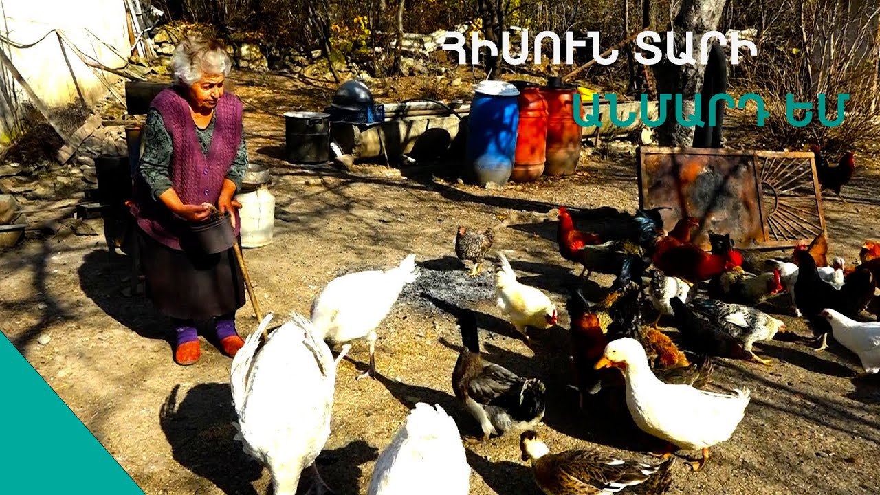 Շնորհքով հարսնացու է փնտրվում, գտնողին մեծ պարգևատրում