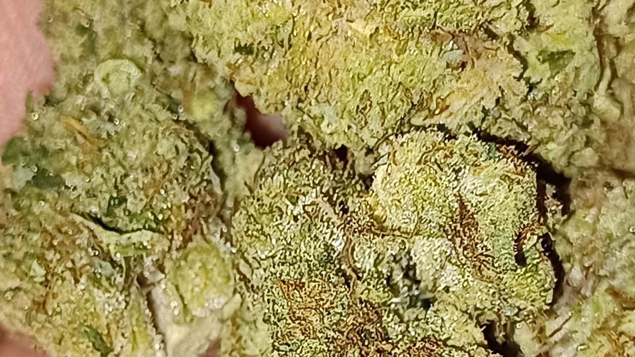 Sour Guava, 23.63% sativa, Flame Train CBD (is it good?) 🔥 🔥 🔥