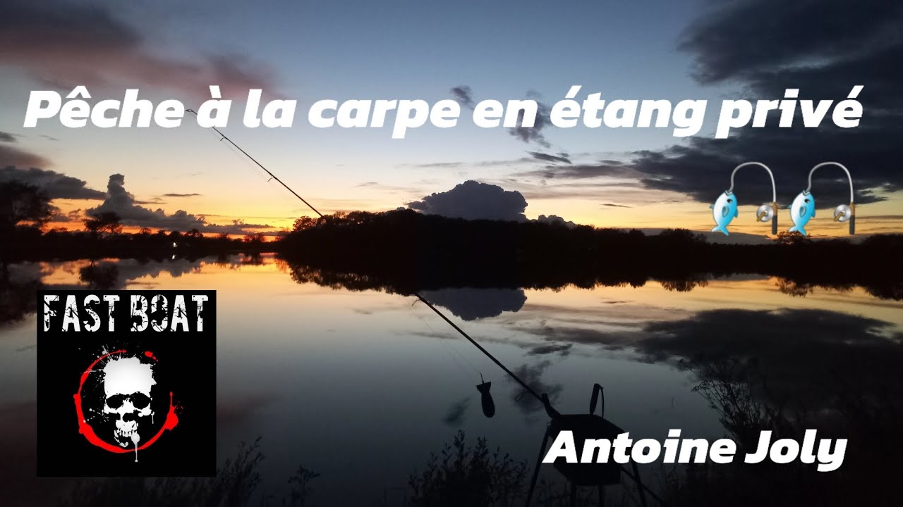 Pêche à la carpe en étang privé