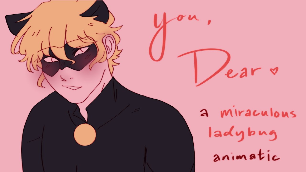 Miraculous Ladybug Animatic || You, Dear