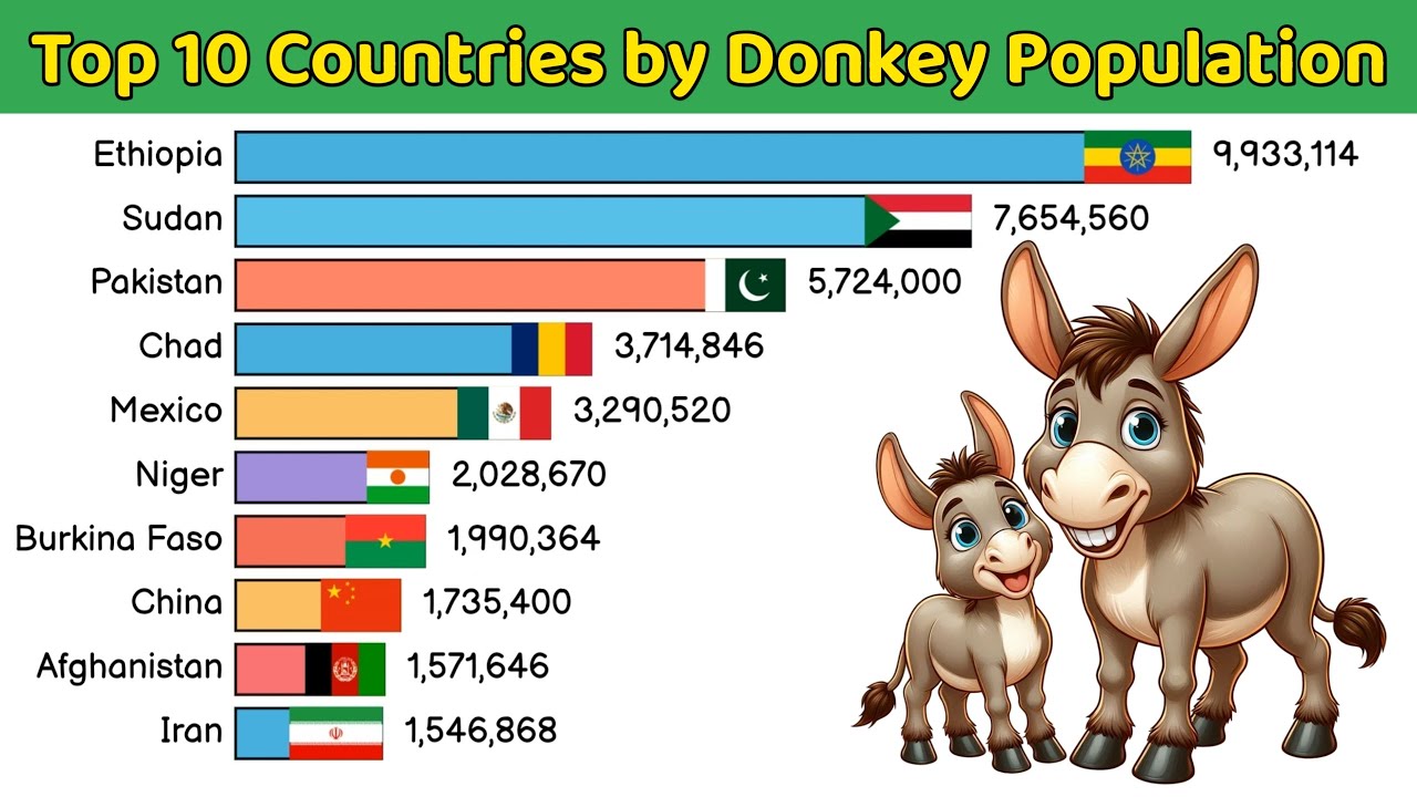 Top 10 Countries by Donkey Population | Top 10 Data Ranking