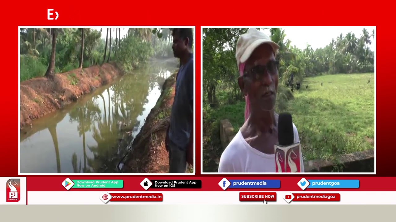 FORMER SEAMAN OPTS FOR INTEGRATED FARMING AT MACASANA-SALCETE