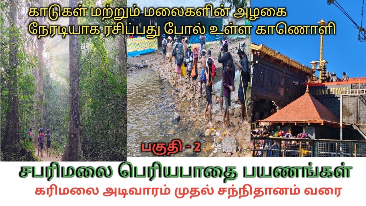 சபரிமலை பெரியபாதை / கரிமலை முதல் சந்நிதானம் வரை @Indiatempletour 