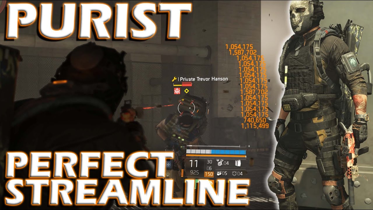 NEW Purist SMG - Does This Hit Hard Enough? | Y7S1 Build Solo PVE #division2