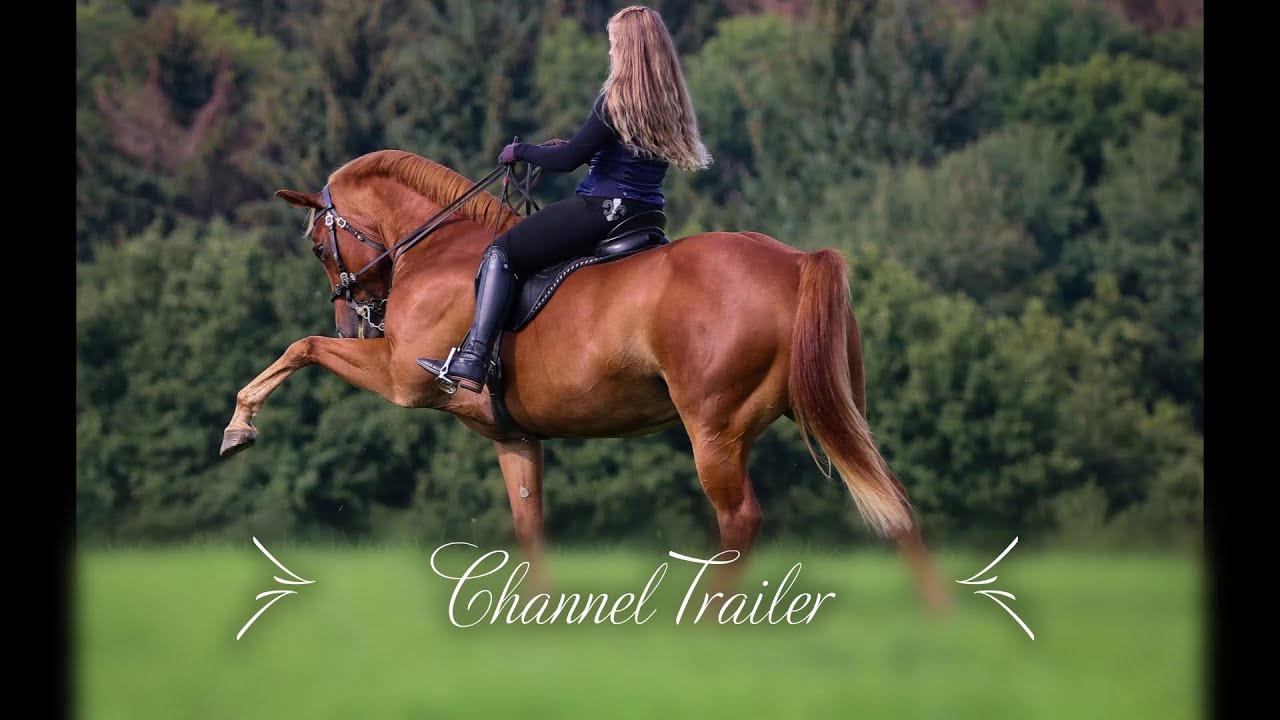 ~ Channel Trailer ~