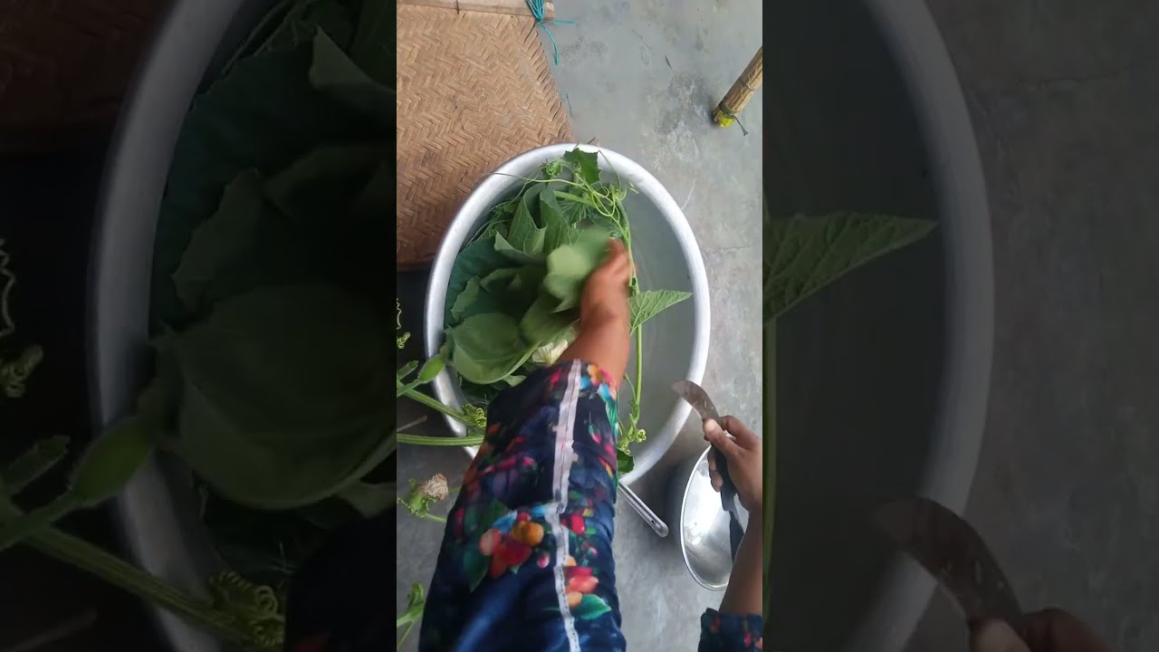 বাগানের কচি কচি লাউ পাতা দিয়ে ভর্তার  একটা দারুন রেসিপি আপনারা সবাই দেখবেন।