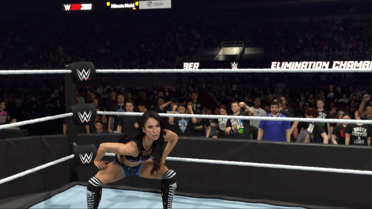 Aj Lee vs Becky Lynch at Elimination Chamber for the Woman Internationale Championship