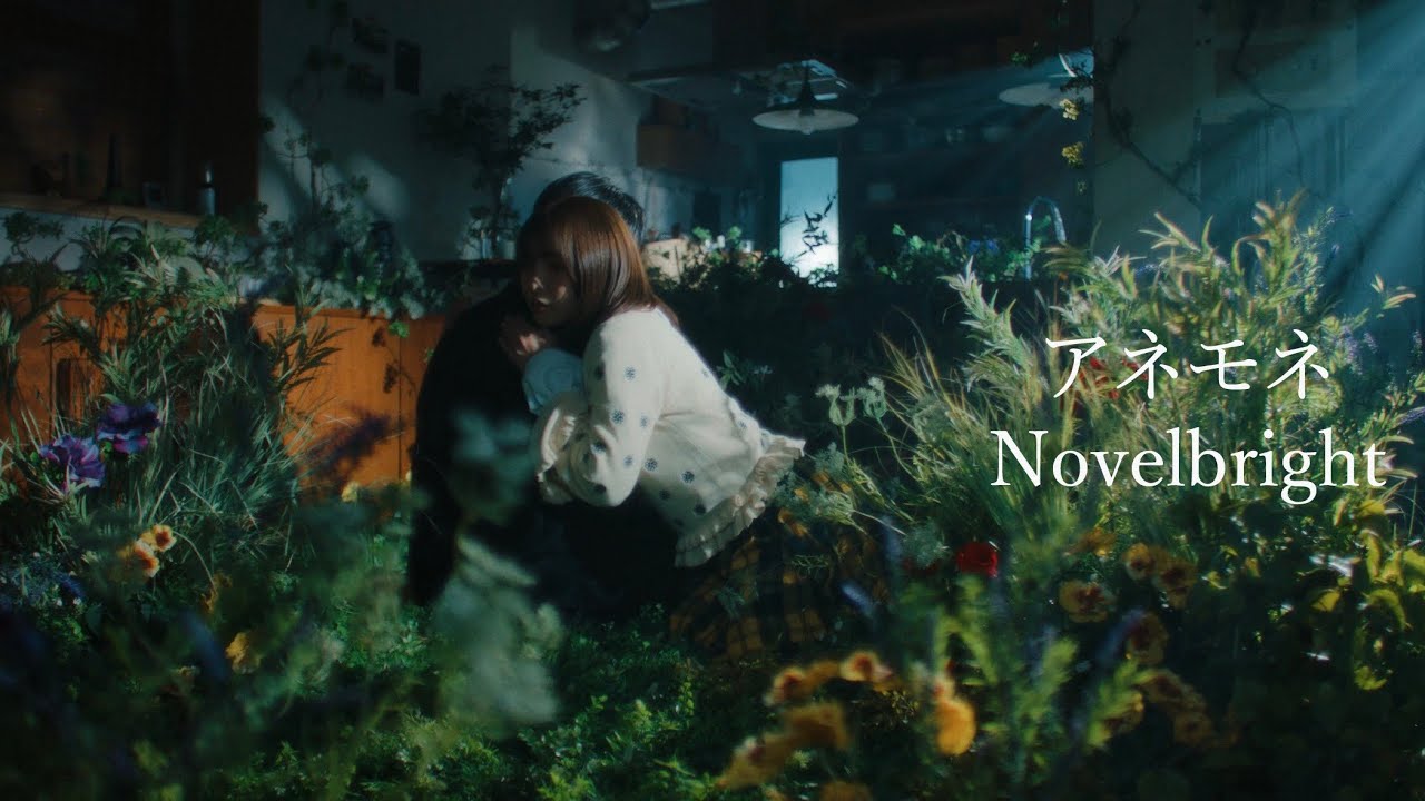 Novelbright - アネモネ [Official Music Video]