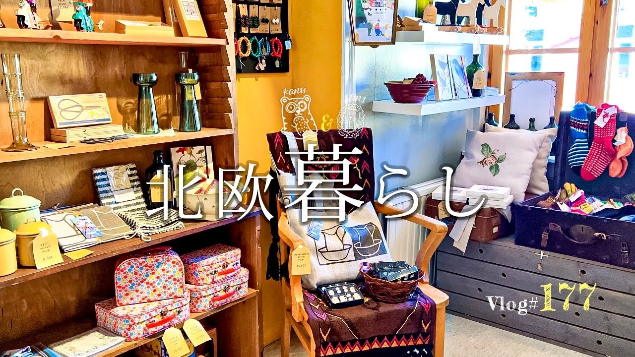 【 北欧暮らし 】 凍った海と可愛い旧市街を楽しむ休日🚗 / 新しい食洗機を買いに電気屋へ