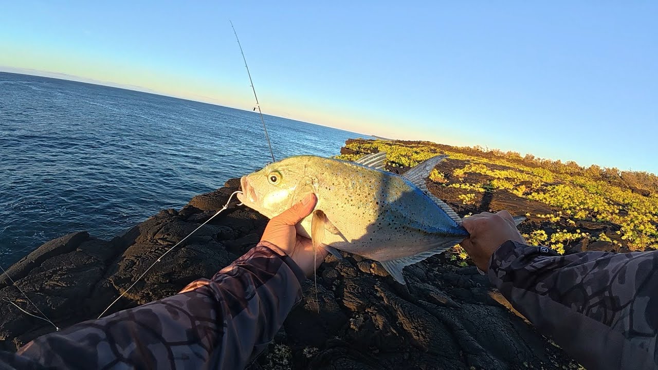Big Island Fishing / Strictly Shore Casting \ 3pc Combo 