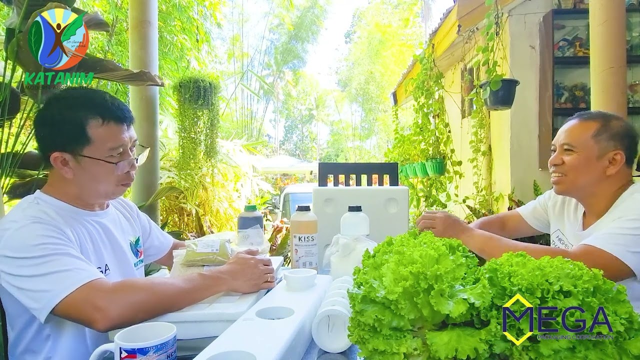 Hydroponics 101 A Beginners Guide for New Growers