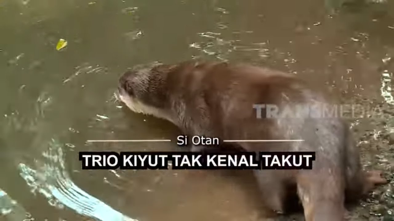 [FULL] Trio Kiyut Tak Kenal Takut | SI OTAN (08/06/20)