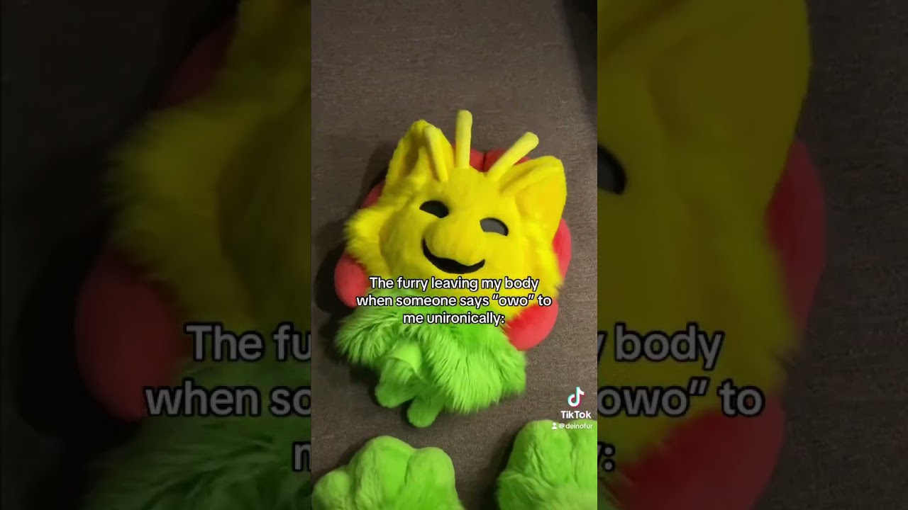 Furry roleplay be like #furry #fursuit #cringe #oc