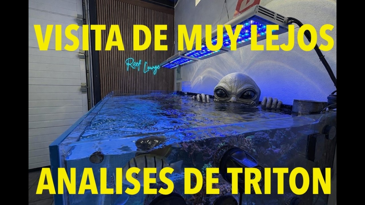 Acuario marino, Triton ICP, Fluor o Potasio o quizas Iodine. Que pasa en mi acuario. Acropora muerto