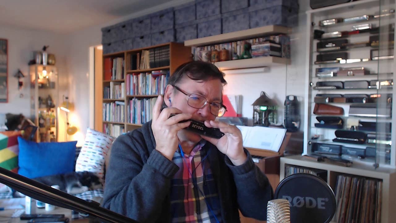 Perfidia - chromatic harmonica