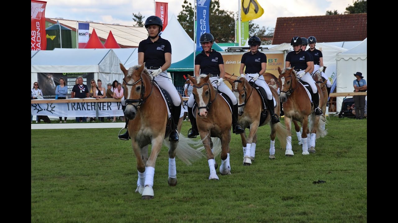 Quadrille des Haflinger Freundeskreis Auftritte 2023