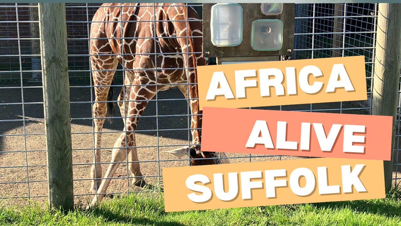 Africa alive