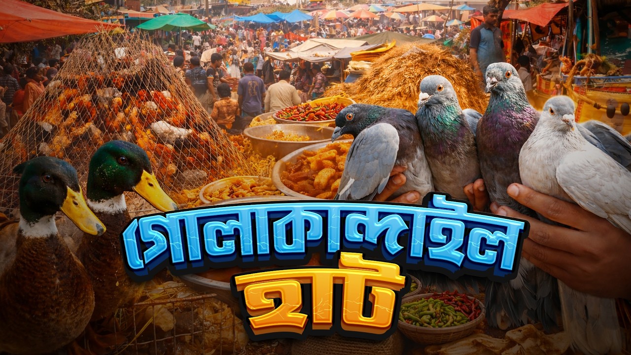 দেশী হাঁসমুরগি থেকে কবুতরের পাইকারি বাজার | Village Market Near Dhaka