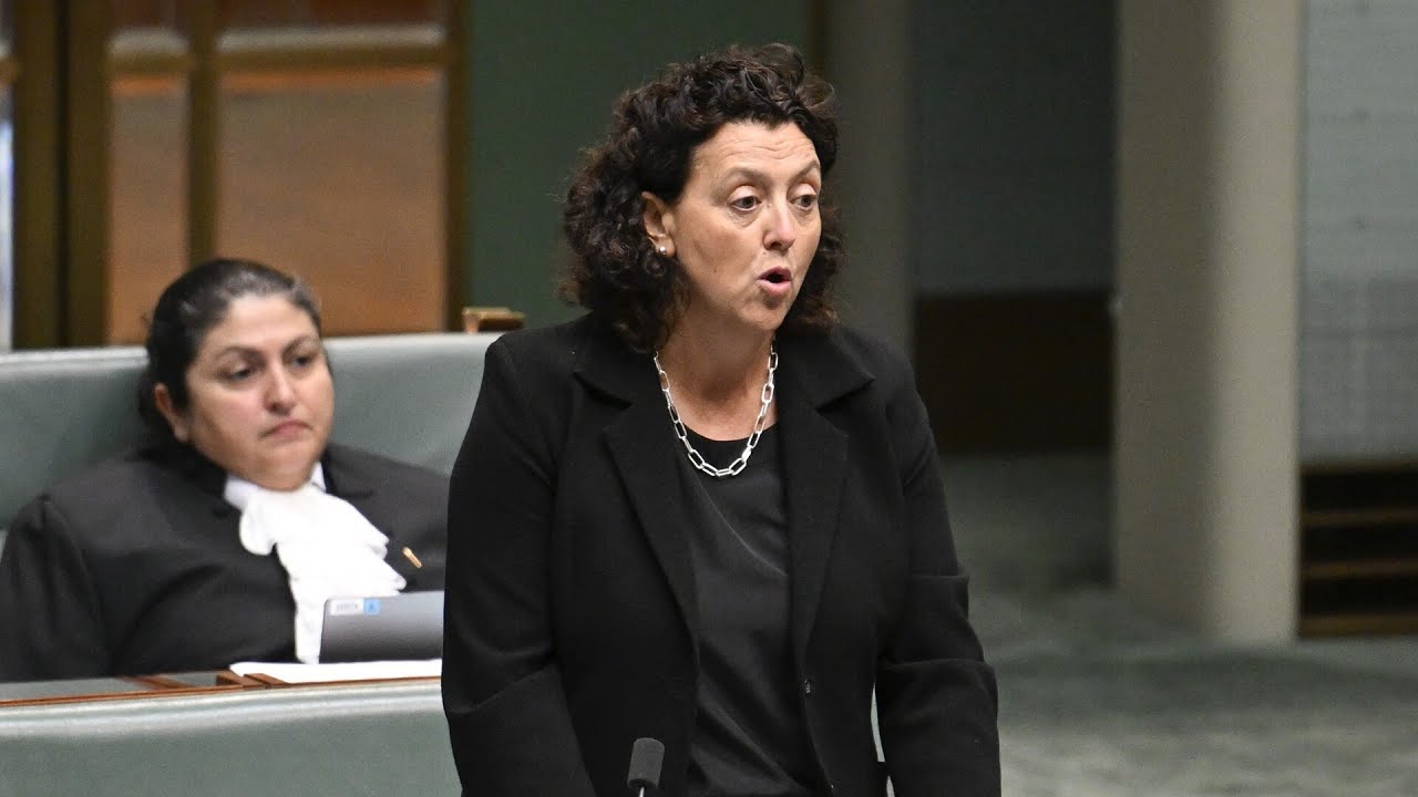 'Didn’t know what to say': Teal MP Monique Ryan’s recent interview was ‘untransparent’