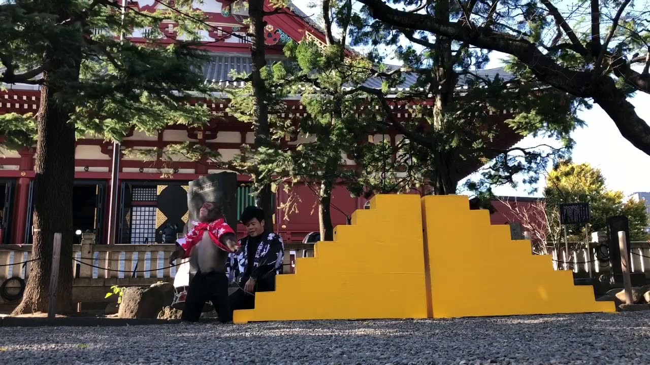 ともきりき at 浅草神社 〜猿回し〜 ②