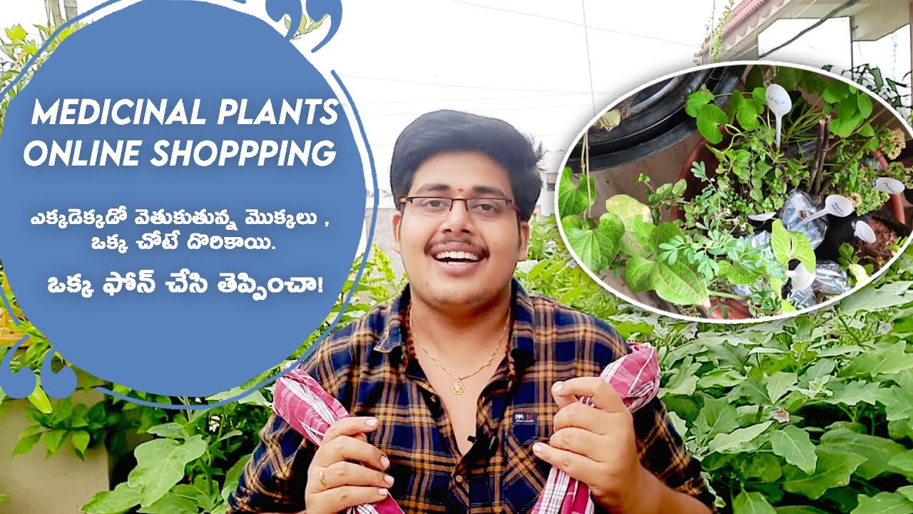 ఒక్క ఫోన్ కాల్ తో ఇంటికే Medicinal Plants || ఏ నర్సరీ కి వెళ్ళకుండానే సులువుగా తెప్పించుకోండి.