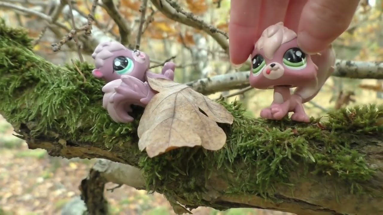 lps ekorrarna del 1