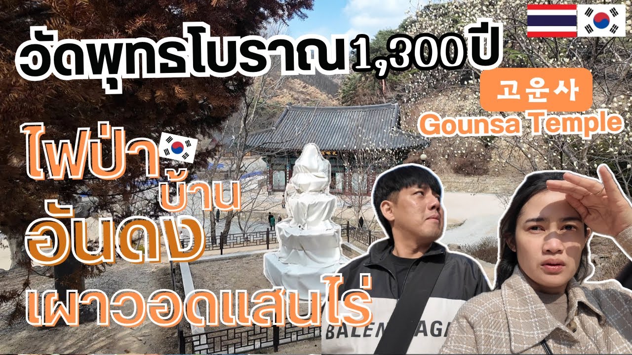Ep.56ไฟป่าเกาหลีใต้ที่อันดงครั้งประวัติศาสตร์วัดเก่าแก่อายุพันปีบ้านพังเหลืออะไรบ้าง? | Sapai Andong