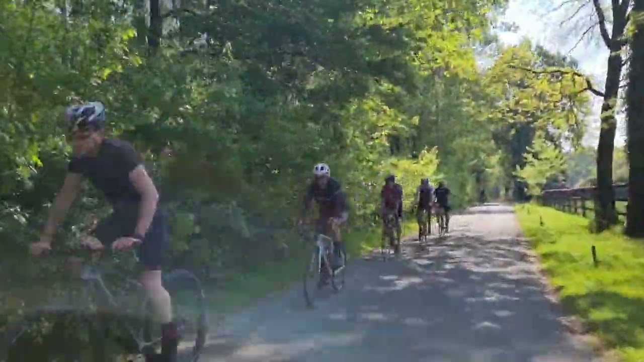 By e-bike through National Park De Hoge Kempen Belgium