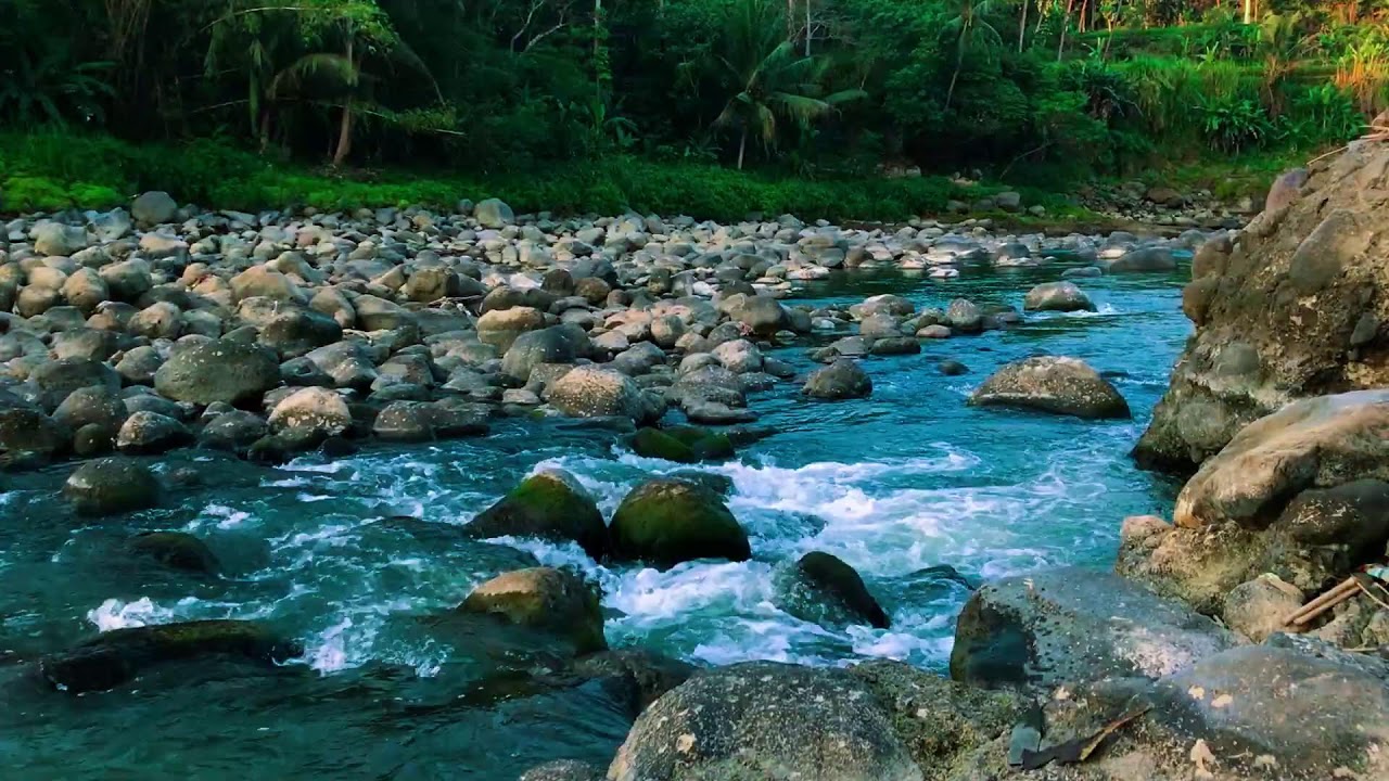 Restorative Green Stream Flow to help Brain Power, Mood Boost & Mental Clarity