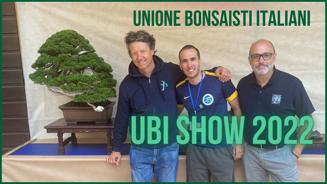 Bonsai event Italy UBI 2022