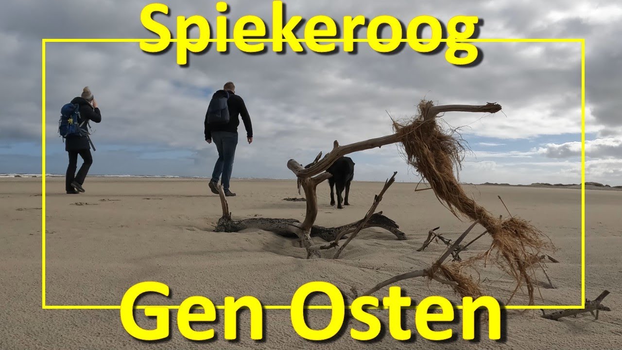 Spiekeroog: Die Wüsten der Insel - Gen Osten und zurück über Strand, Dünen und Salzwiesen