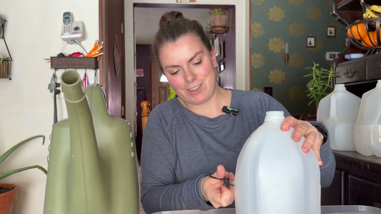 Winter Sowing: The Easy & Inexpensive Way To Start Seeds